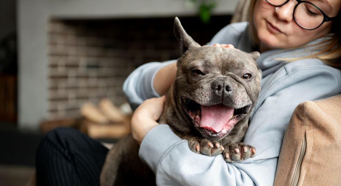 The Wade A woman with glasses sits on a couch, gently holding a small dog in her lap, smiling contentedly.