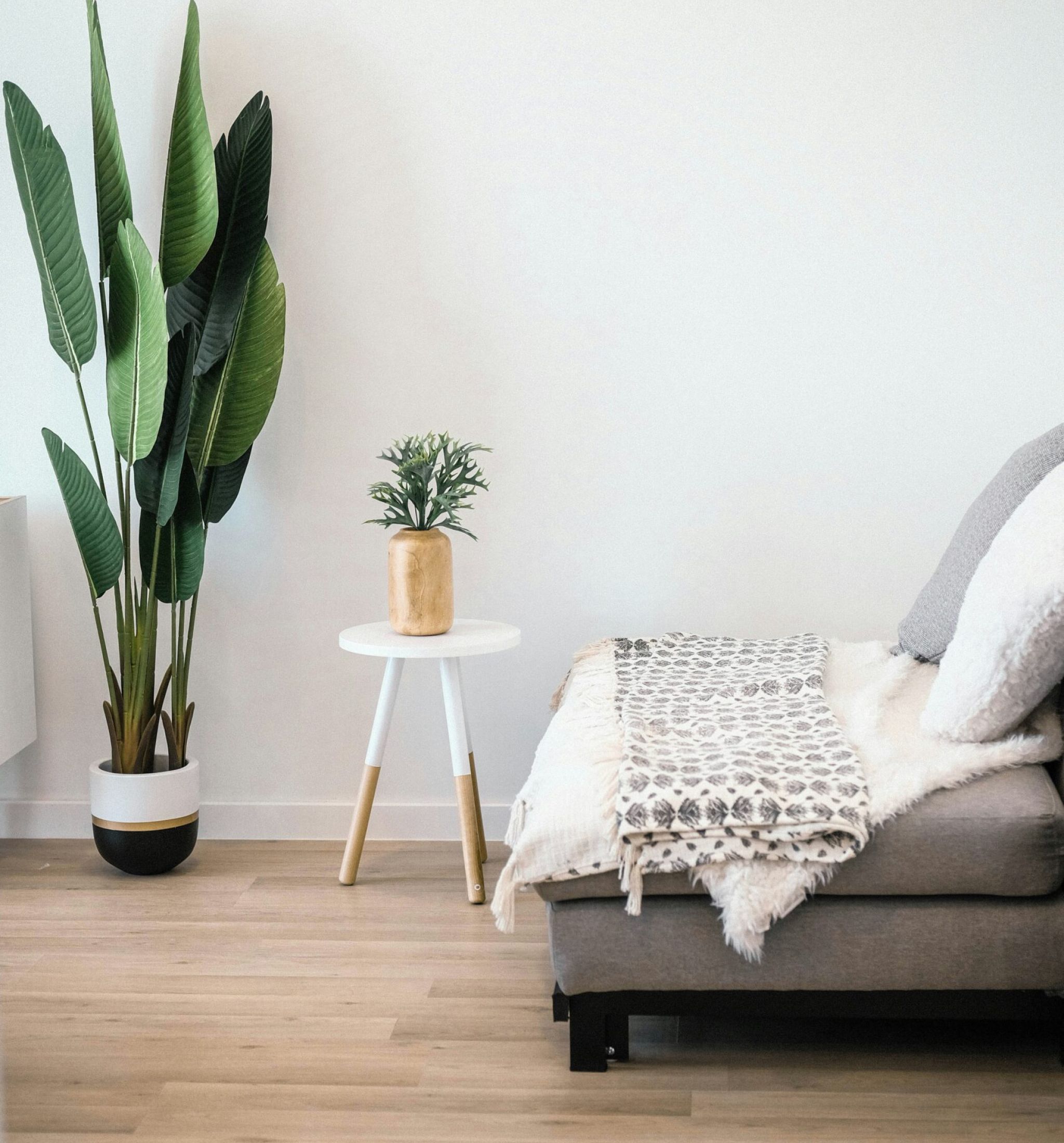 The Waze A white couch positioned beside a green plant in a well-lit room, creating a cozy and inviting atmosphere.